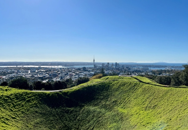 Half Day Group Guided Scenic Tour Exploring Auckland incl. Pick-Up & Drop Off From Your Address, Full Transport to All Locations, Water & Healthy Snacks - Options for up to 10 People