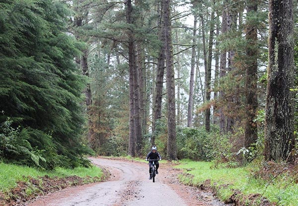 Premium Off-Road Ebike Tours with Options to be Picked Up in Auckland or Hamilton - Four Tracks Available