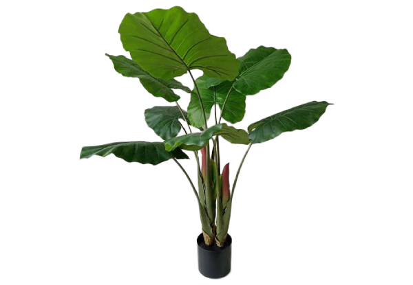 Artificial Plant - Available in Seven Styles & Three Sizes