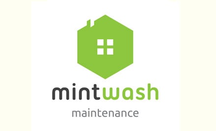 Mint Wash