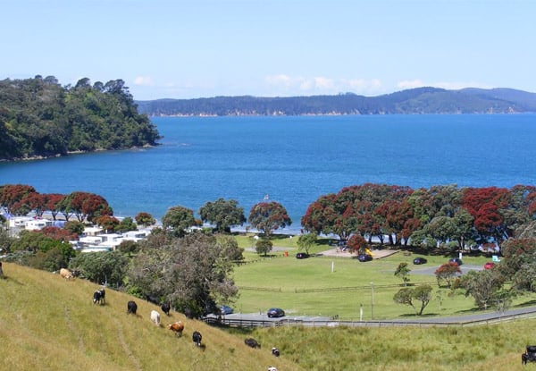 Two-Night Cabin Stay on the Matakana Coast for Two People - Option for a Three-Night Stay - Valid Between Sunday to Thursday