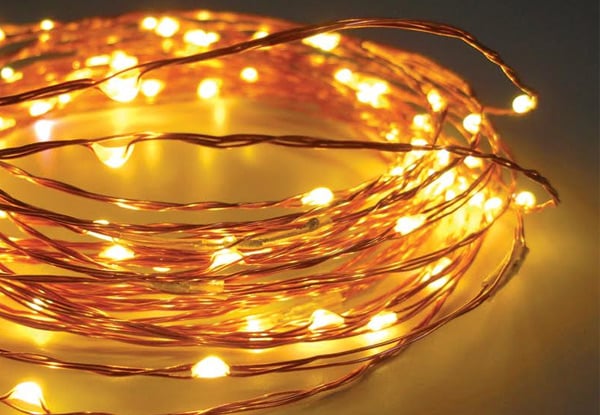 $18 for Stunning Copper Wire Seed Lights - Two Length Options
