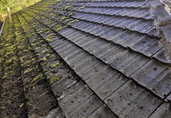 Roof Soft Wash Cleaning, Roof Moss & Mould Treatment - Options for Small, Medium, Large or Extra Large Homes & Single or Multi-Storey Homes