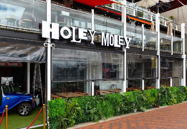 Holey Moley