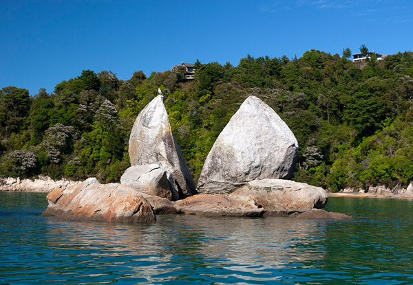 From $99 for a Full-Day Abel Tasman & Golden Bay Tour (value up to $216)