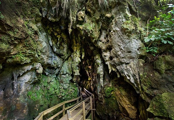 Adult Pass to Kawiti Family Glowworm Caves - Options for Two Adults or Family Pass