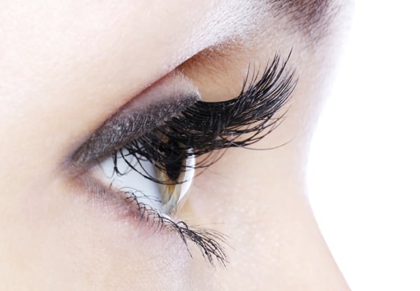 Fabulous Eye Trio - Lash Tint, Eyebrow Shape & Tint