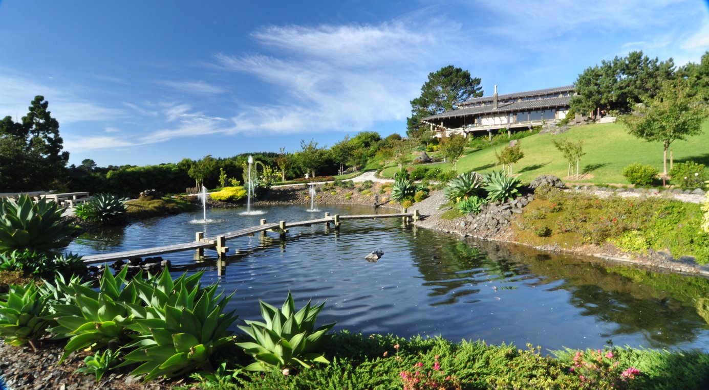 Solace Wellness Retreat