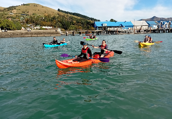 One-Hour Kayak Hire Hire for One Person at Akaroa Harbour - Option for Stand Up Paddle Board Hire