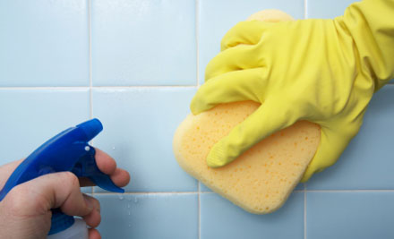 Damzel Cleaning Services