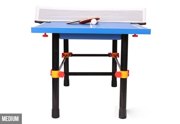 Premium Table Tennis Table