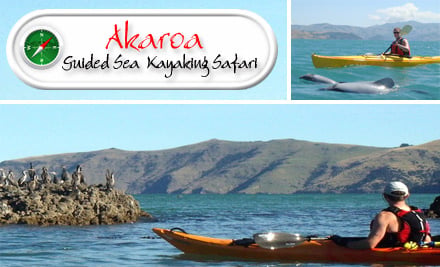 Akaroa Guided Kayak Safari