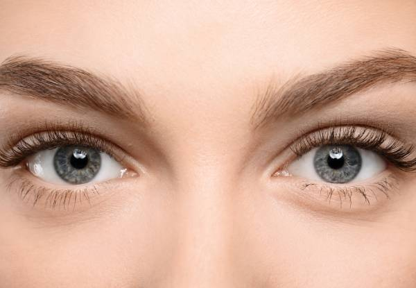 Brow Shape, Brow Tint & Eyelash Tint Package or Lash Lift - from $39