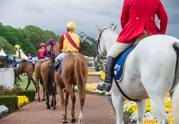 From $12 for a Ticket to Sothys New Zealand 2000 Guineas Day at Riccarton Park Racecourse on 5th November