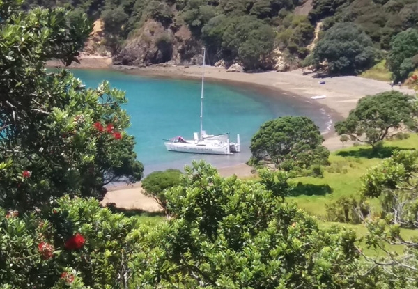 $45 for One Person on a Two-Hour Sundowner Evening Cruise or $90 for an Island Hopper Day Sailing Adventure in the Bay of Islands - Options for Two People (value up to $240)