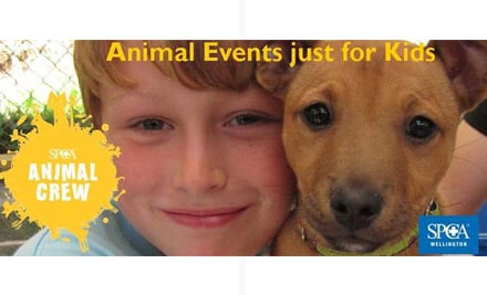 Wellington SPCA