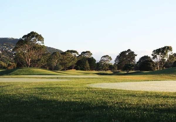 One Round of Golf & a Hot Sandwich & Beer with Options for up to Four People