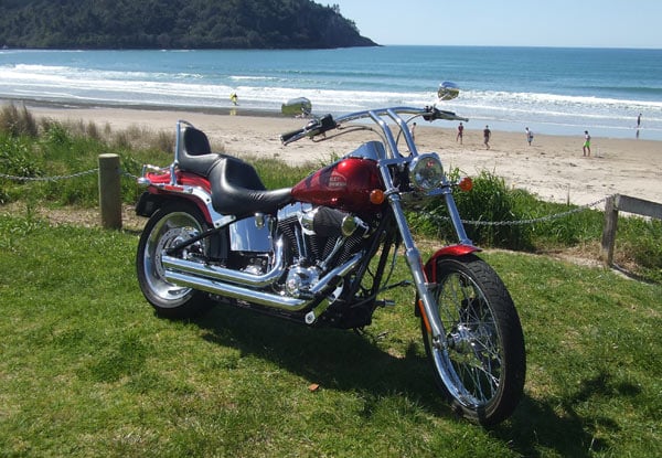$175 for a Two-Hour Harley™ Motorcycle Tour To Raglan & Manu Bay or $475 for a Full Day Whangamata or Coromandel Loop Tour (value up to $595)