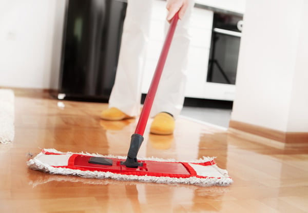 Cleaning Mates