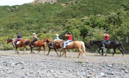 Two-Hour Horse Trek for Two People