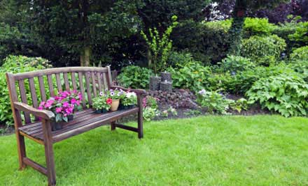 Fine Cutting Lawn & Gardening Services