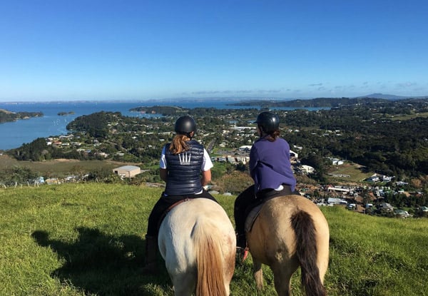 Waiheke Equestrian