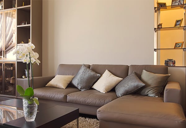 Couch and Car Leather Care