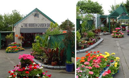 The Hidden Garden Shop