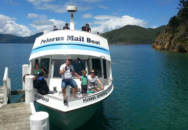 $72 for a Day Trip Through the Pelorus Sounds (value up to $128)