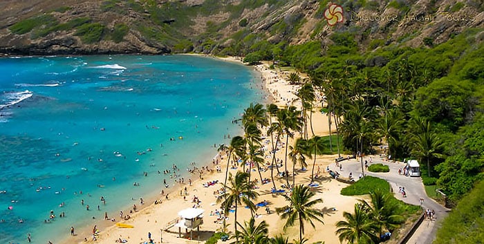 Discover Hawaii Tours