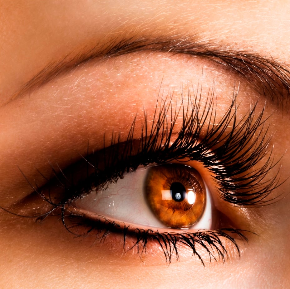 Envy Lashes