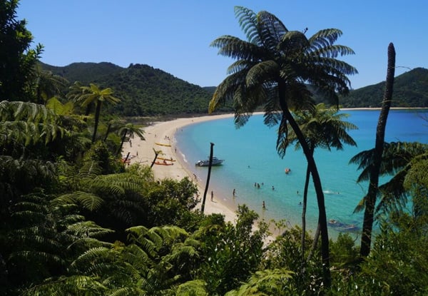 Abel Tasman Guides