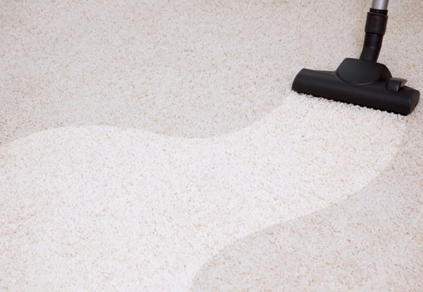 From $59 for a Professional Carpet Clean or $69 for an Upholstery Clean – Options for up to Five Bedrooms Available