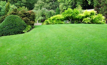 Constructive Landscape Solutions