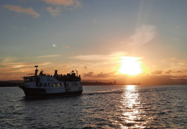 Bay Explorer
