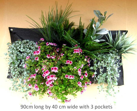 Hanging Gardens