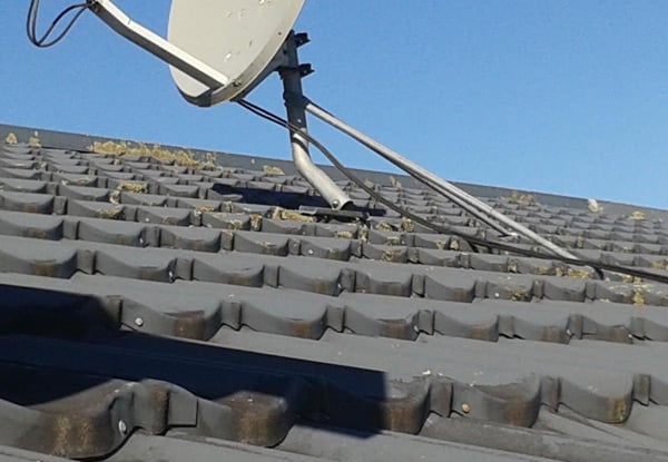 Moss, Mould & Lichen Roof Treatment Package