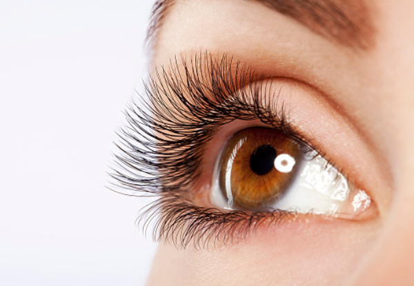 Si Lashes Auckland