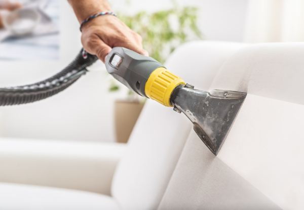 Luxury Carpet Cleaning