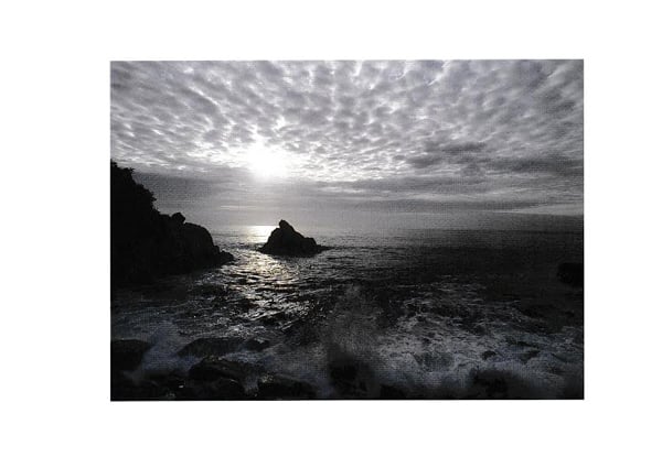 Graeme Matthews Photo Image
