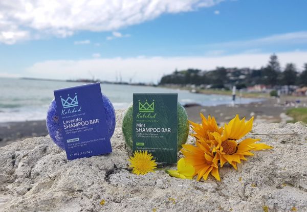 Shampoo Bar -  Lavender or Mint Scents Available