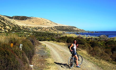 Cycle Remutaka by Everyone's Adventure