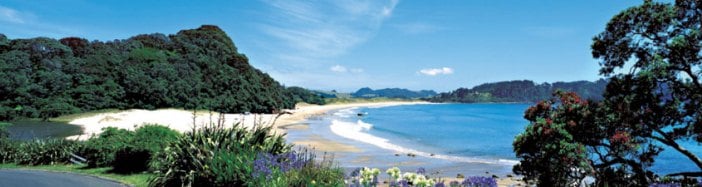 Hot Water Beach Top 10