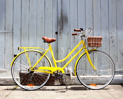 EVOLUTION CYCLES