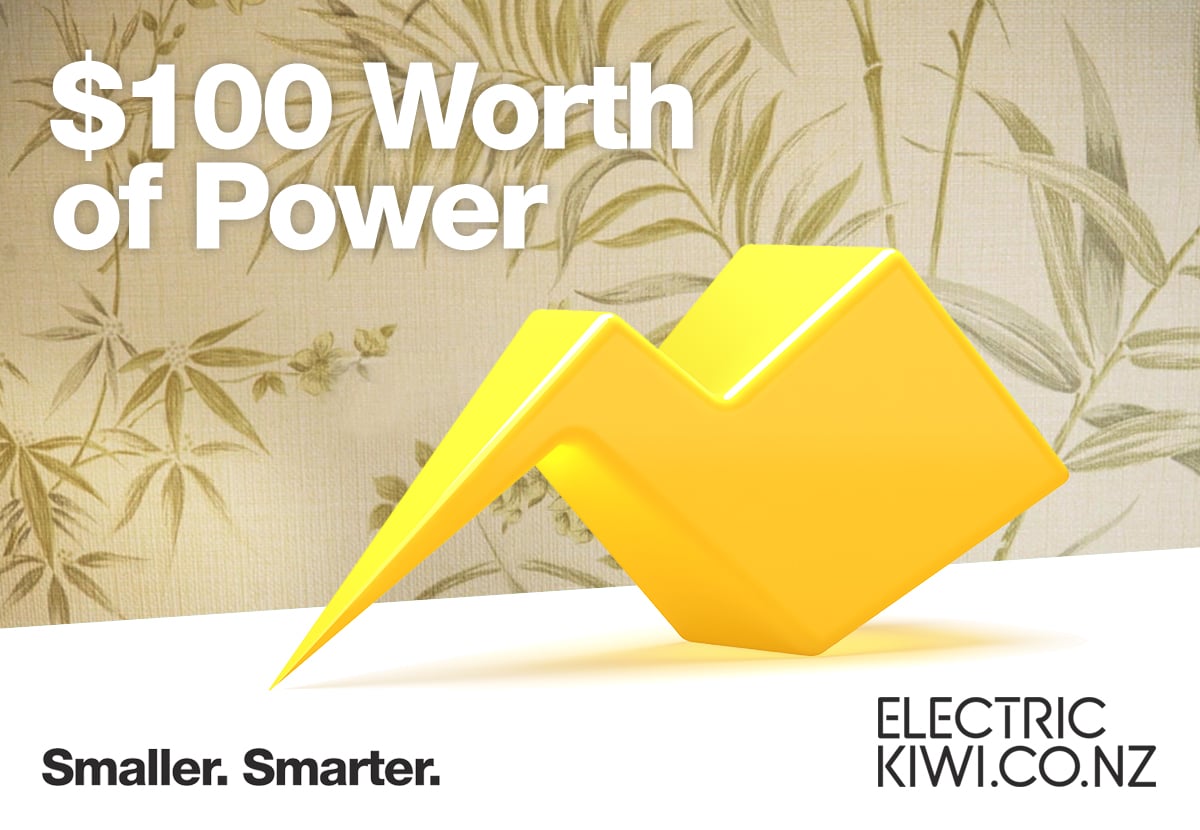 Electric Kiwi