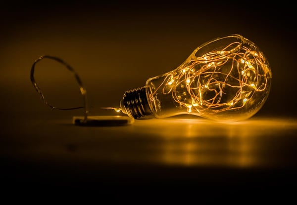 $8 for a Glass Bulb with 20 Seed Lights, or $20 for Three