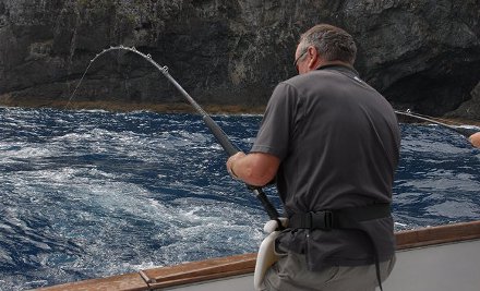 Blue Sea Fishing Charters