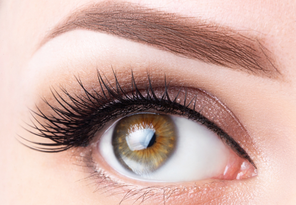 Lash Lift & Tint Package for One Person