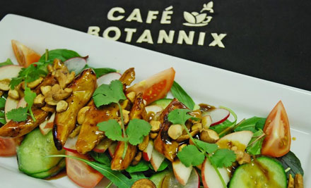 Cafe Botannix at Palmers Frankton