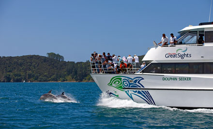 Dolphin Cruise to Hole in the Rock